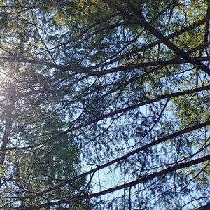 Meet your Posher, Keith aaron